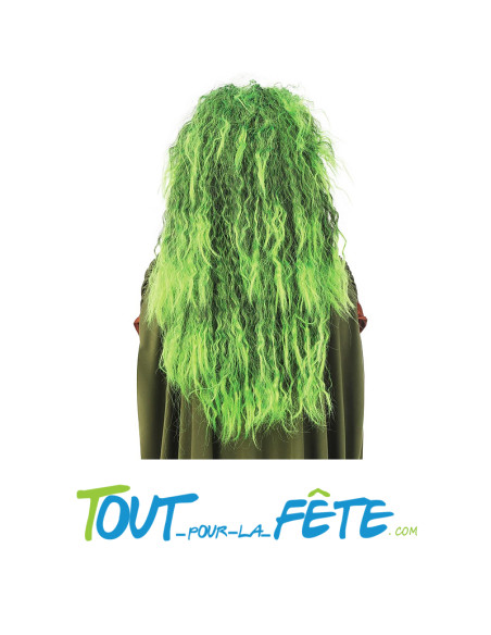 Perruque sorcière verte pour adulte taille unique cheveux longs et crépus
