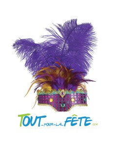 Coiffe diadème à plumes violet et jaune carnaval de Rio ( thème Brésil ) taille unique 2