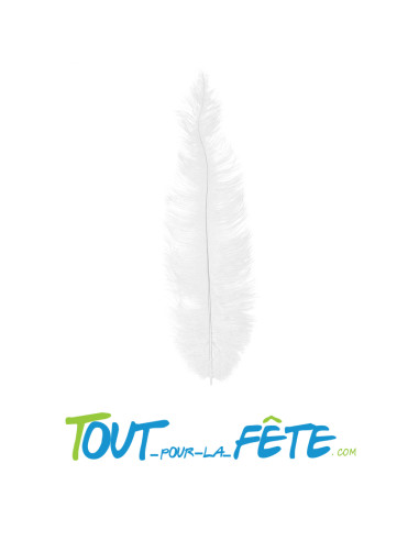 Grande plume d'autruche de 40cm blanche ( idéal décoration table )