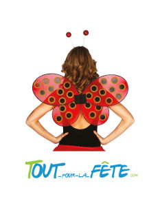 Ailes de coccinelle pour adulte taille unique ( accessoire déguisement )