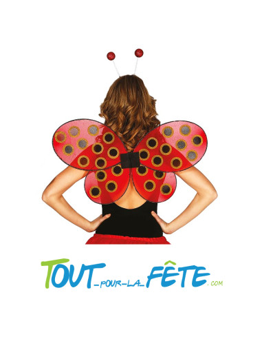 Ailes de coccinelle pour adulte taille unique ( accessoire déguisement )