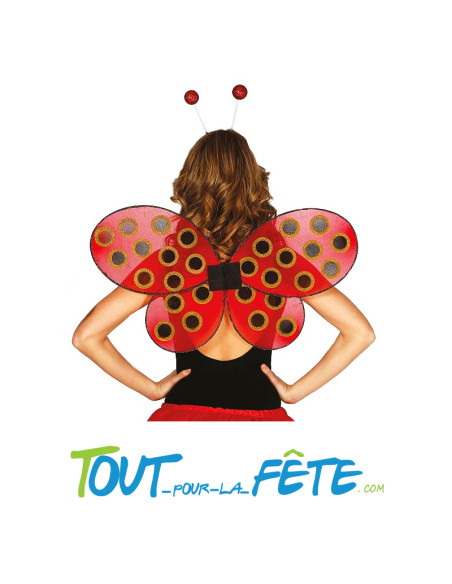 Ailes de coccinelle pour adulte taille unique ( accessoire déguisement )