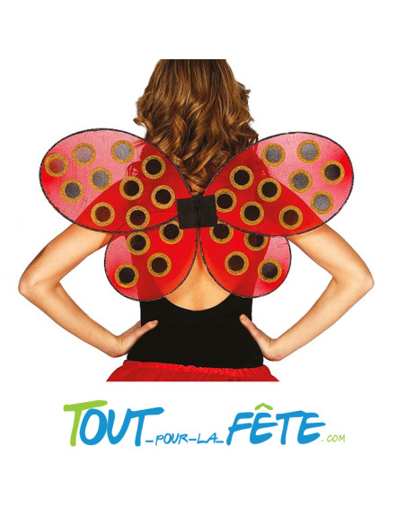 Ailes de coccinelle pour adulte taille unique ( accessoire déguisement )