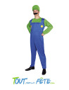Déguisement adulte Plombier Super Mario vert et bleu