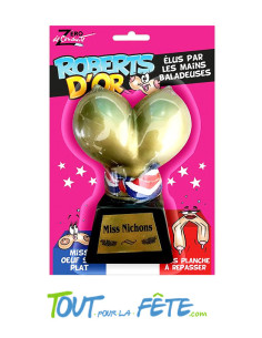 Le trophée en or Miss nichon 2