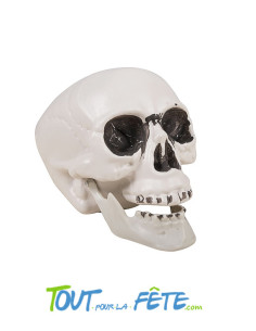 Tête de mort en plastique