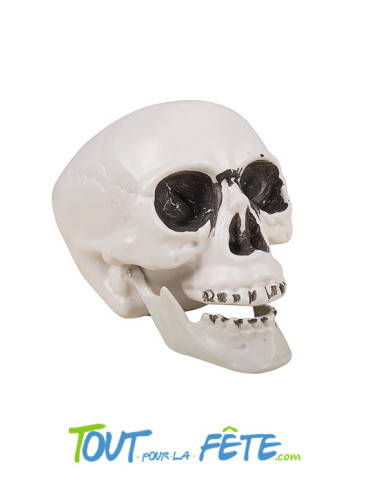Tête de mort en plastique