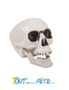 Tête de mort en plastique