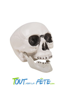 Tête de mort en plastique 2