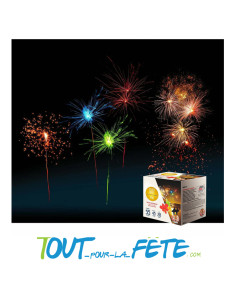 Feux d'artifice Hawaï 2