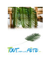Feuille de palmier verte