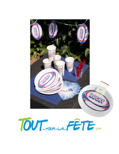 10 assiettes motif rugby tricolore 25 x 20.5 cm