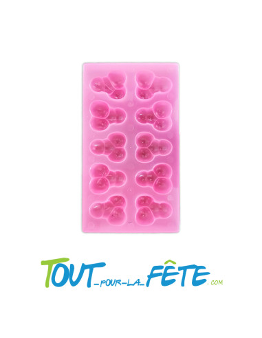 Bac à glaçons Coquins 10 glaçons "pour...