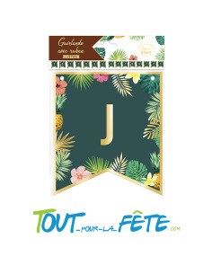 Guirlande "Joyeuse Retraite" 5 mètres