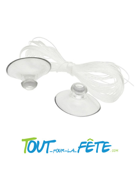 10 mètres de fil nylon avec 2 ventouses pour décoration