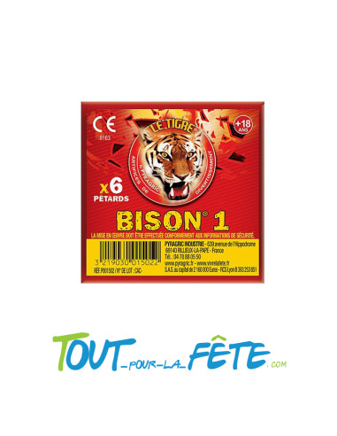 Pétard à mèche Bison 1