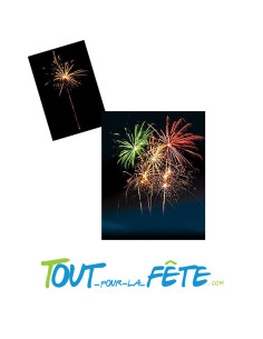 Feux d'artifice Compact CEYLAN ® 19 comètes et bombes 2