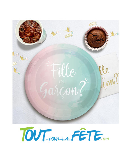 Pack de 6 Assiettes Gender Reveal 23 cm