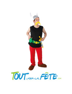 Déguisement ASTERIX ® adulte, taille XXL