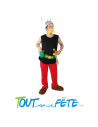 Déguisement ASTERIX ® adulte, taille XXL