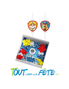 4 pailles en carton Pat'Patrouille 2