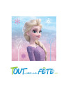 Lot de 20 serviettes La Reine Des Neiges ©
