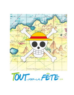 Lot de 20 serviettes One piece ©