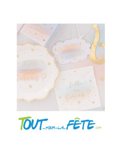 Lot de 16 serviettes fille ou garçon ? 2