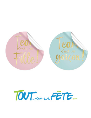 Lot de 16 Stickers T-Shirt Gender Reveal