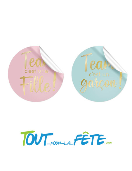 Lot de 16 Stickers T-Shirt Gender Reveal