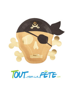 Lot de 8 assiettes pirate 27x22 cm