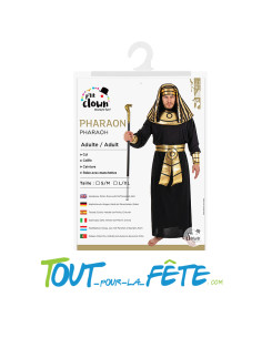 Déguisement Pharaon Homme L/XL 2