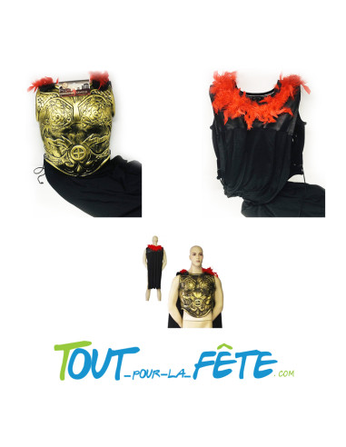 Armure Romain avec cape 47 x 51 cm