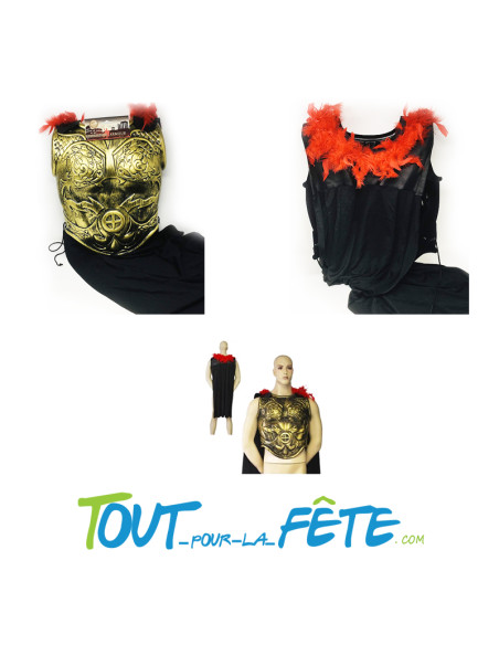 Armure Romain avec cape 47 x 51 cm