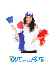 Eventail tricolore Bleu, Blanc, Rouge 2