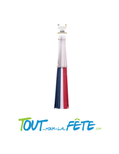 Eventail tricolore Bleu, Blanc, Rouge