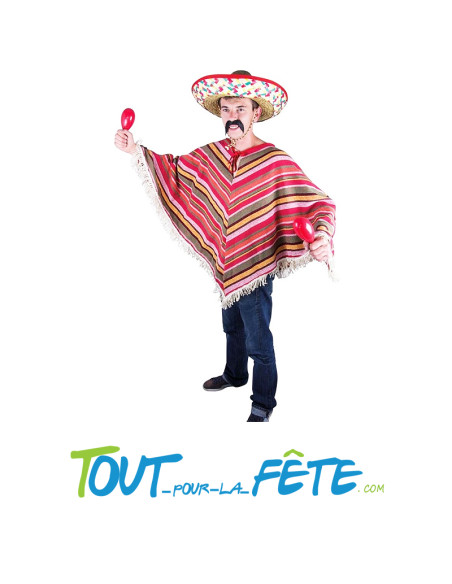 Lot de 2 Maracas en plastique 19 cm