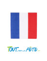 Sachet de 20 serviettes France 3 plis 33 x 33cm