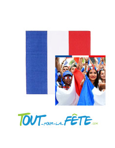 Sachet de 20 serviettes France 3 plis 33 x 33cm 2