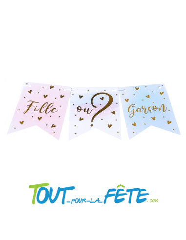 Guirlande fanion Fille ou Garçon ? 3.40 mètres