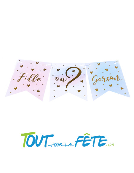 Guirlande fanion Fille ou Garçon ? 3.40 mètres