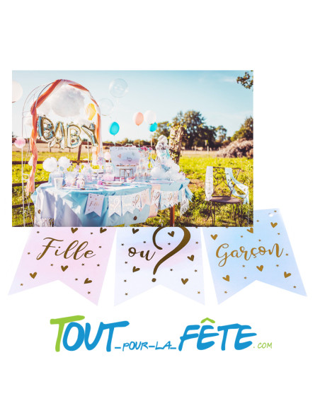 Guirlande fanion Fille ou Garçon ? 3.40 mètres
