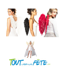 Aile d'ange 50cm x 50cm 3 coloris disponibles