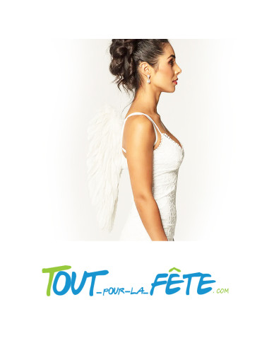 Aile d'ange 50cm x 50cm 3 coloris disponibles