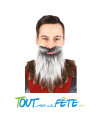 Moustache + barbe raide gris