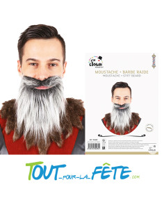 Moustache + barbe raide gris 2