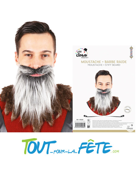 Moustache + barbe raide gris