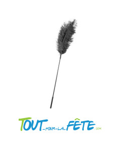 Plume Sensuelle 2