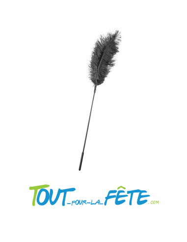 Plume Sensuelle