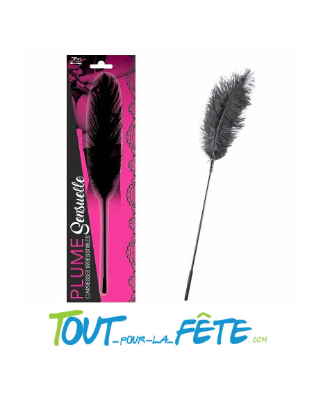 Plume Sensuelle